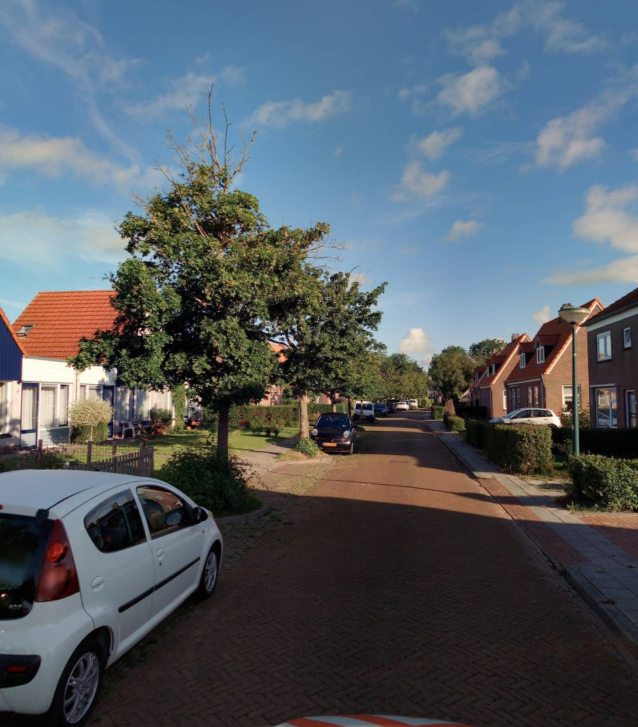 Professor B. Fridsmastrjitte 9B