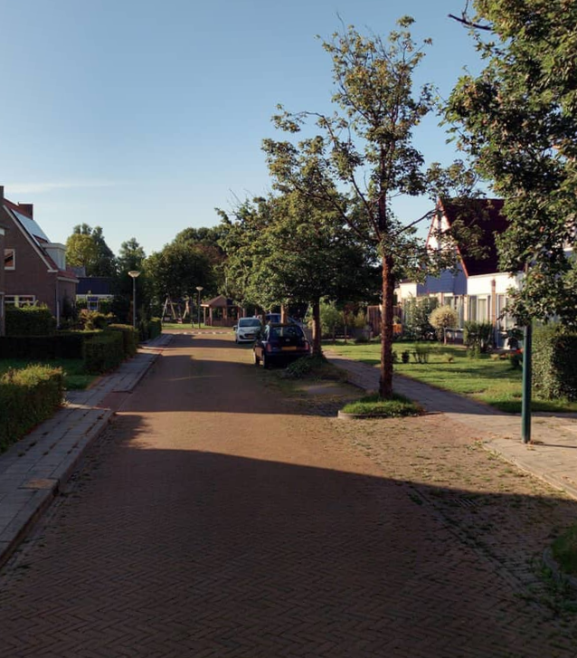 Professor B. Fridsmastrjitte 9B