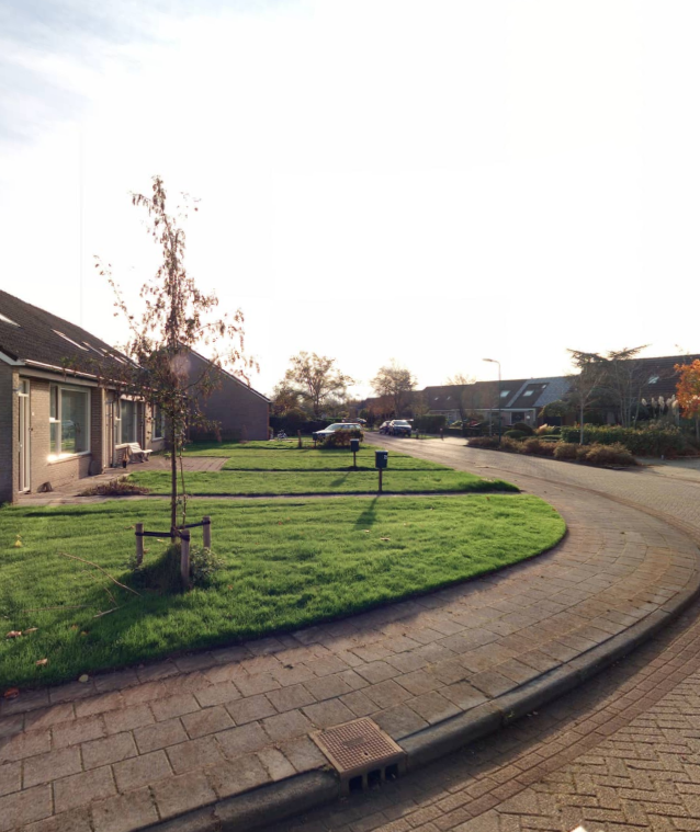 D.S. Bangmastrjitte 72