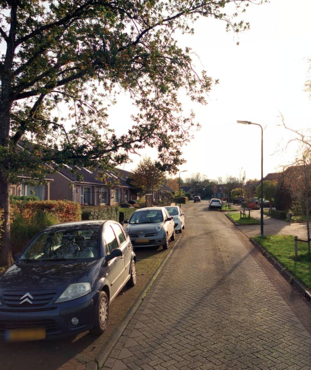 D.S. Bangmastrjitte 52