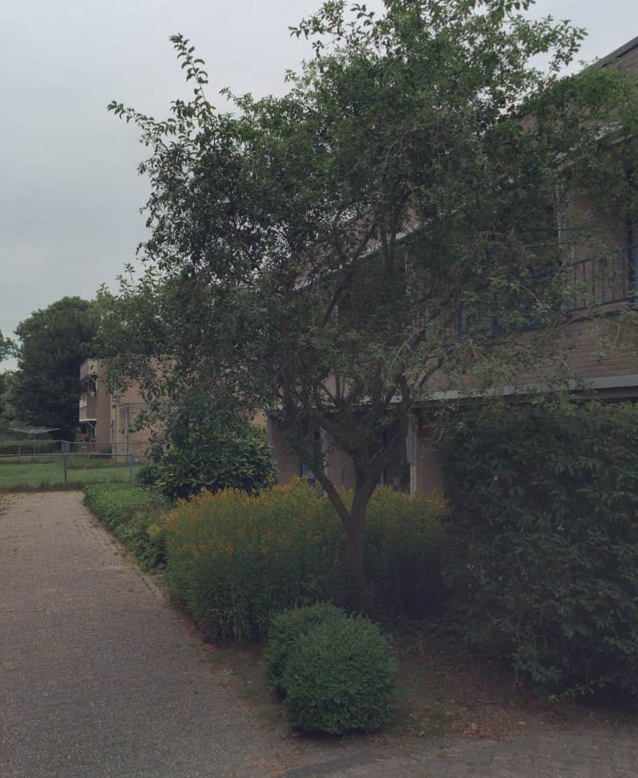 De Trochreed 12, 8701 LB Bolsward, Nederland