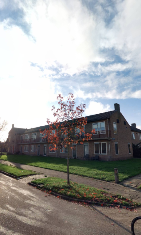 Langebuorren 49, 9051 BE Stiens, Nederland