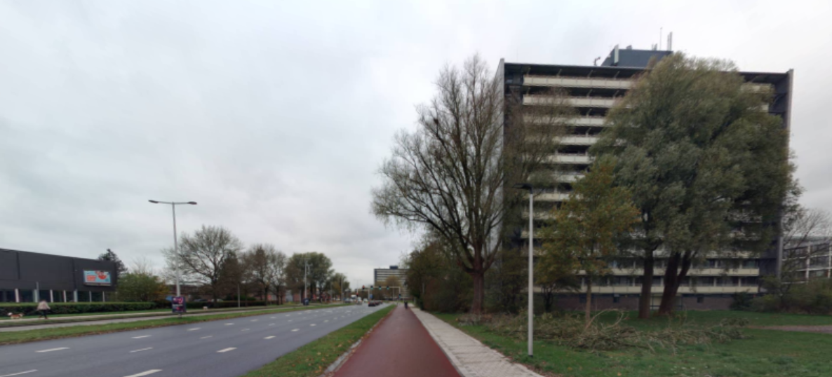 Birdplein 50