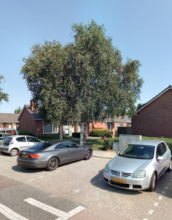 Het Bosk 29, 8731 BJ Wommels, Nederland