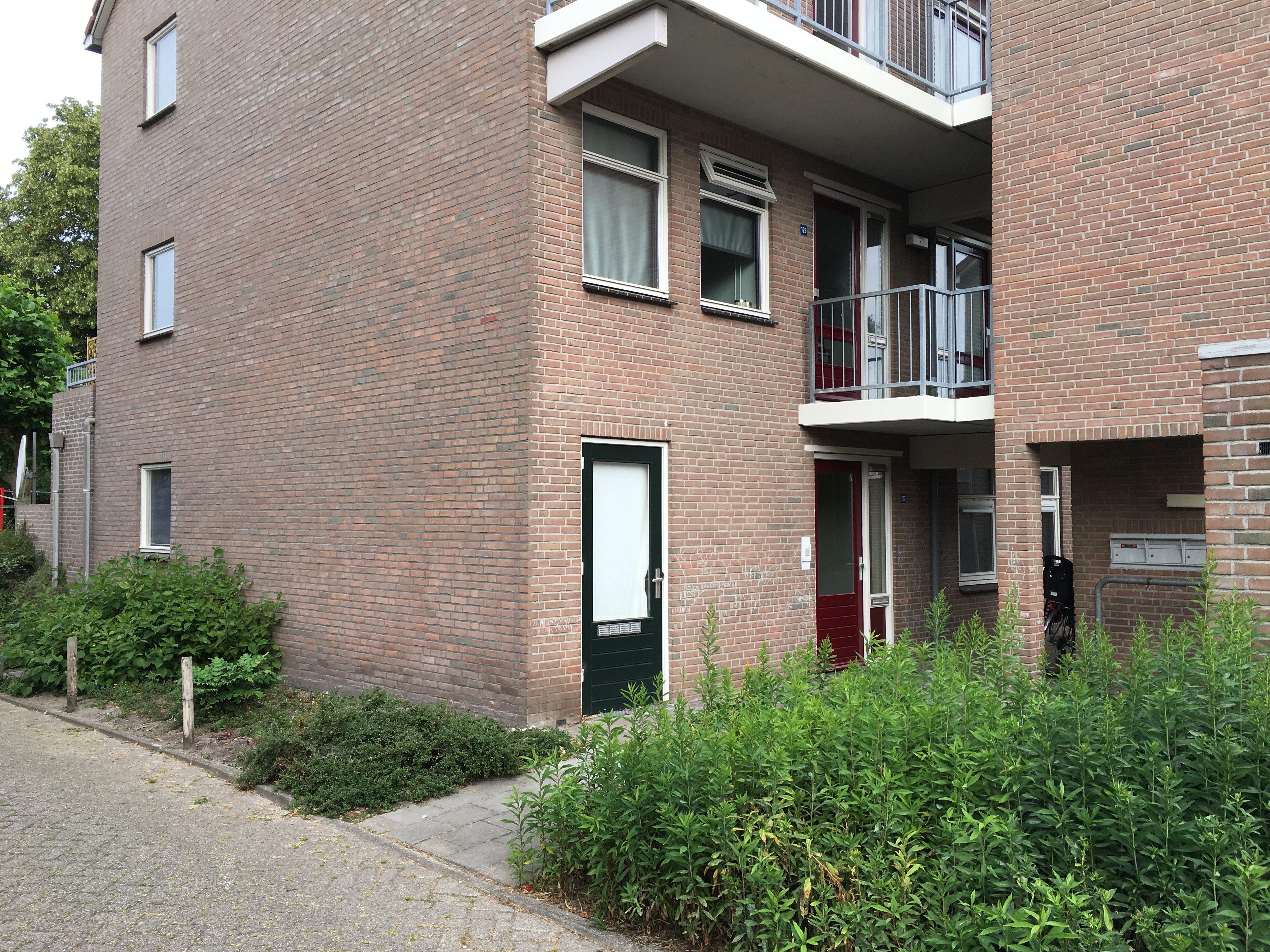 Hooizolder 127, 9205 CJ Drachten, Nederland