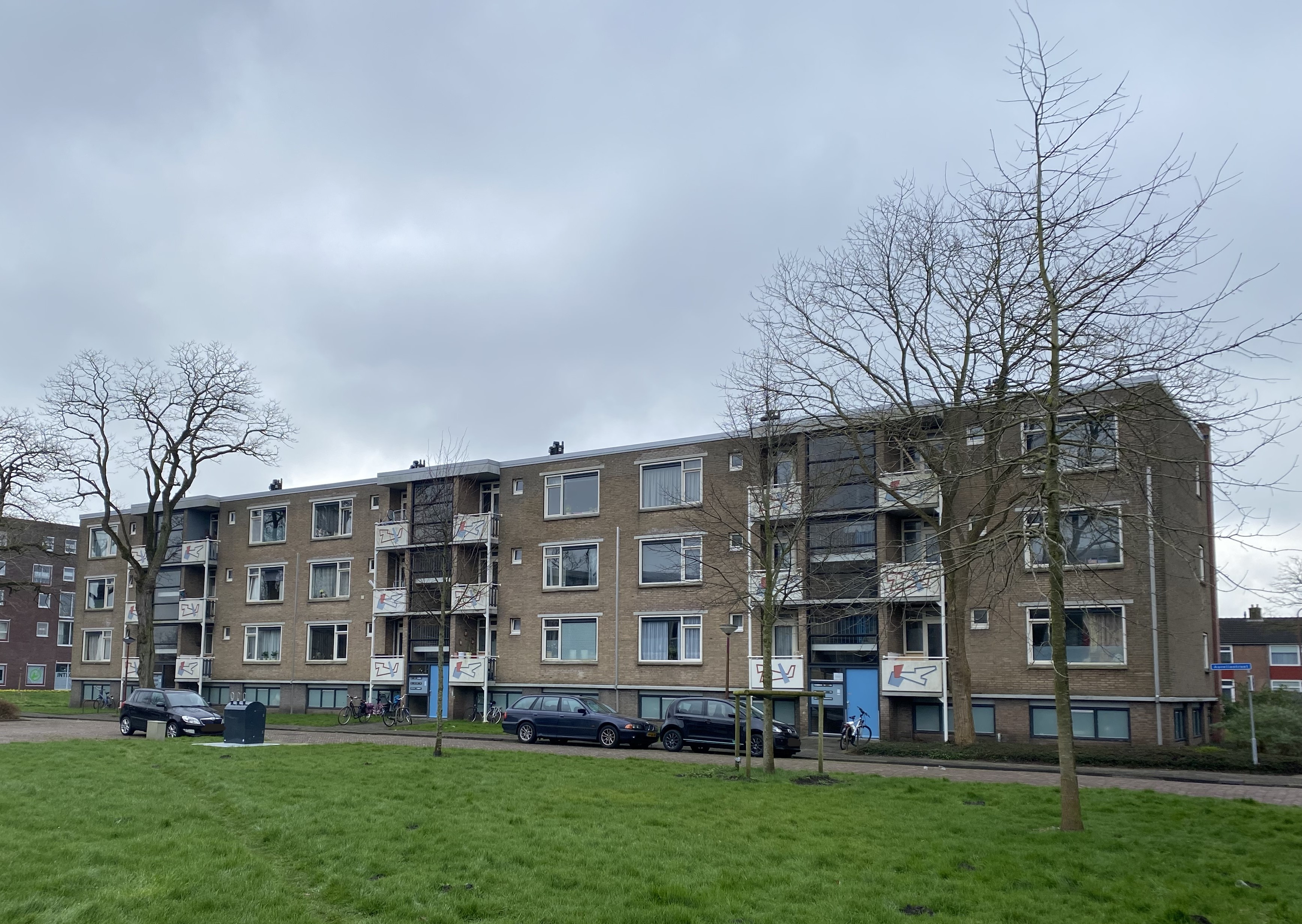 Citroenvlinderstraat 4, 8442 DC Heerenveen, Nederland