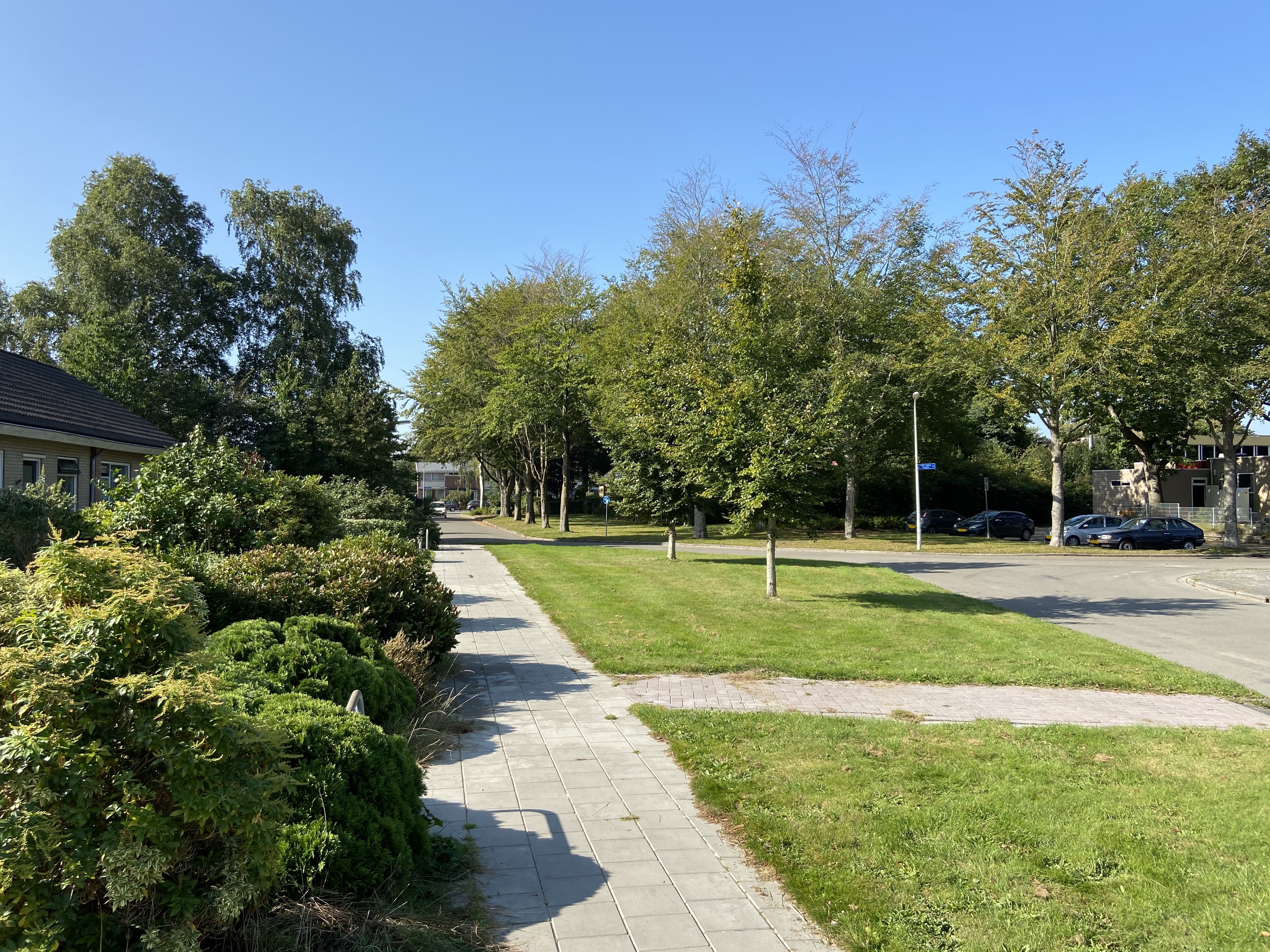 Master de Boerstrjitte 3