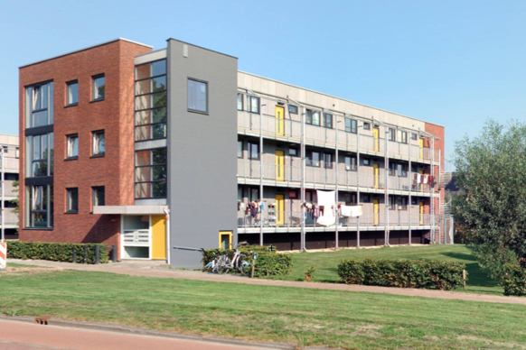 Worp Tjaardastraat 86