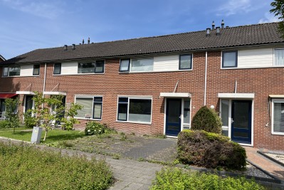 Buntgras 43