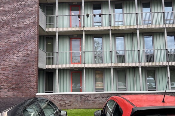 Wielewalen 11