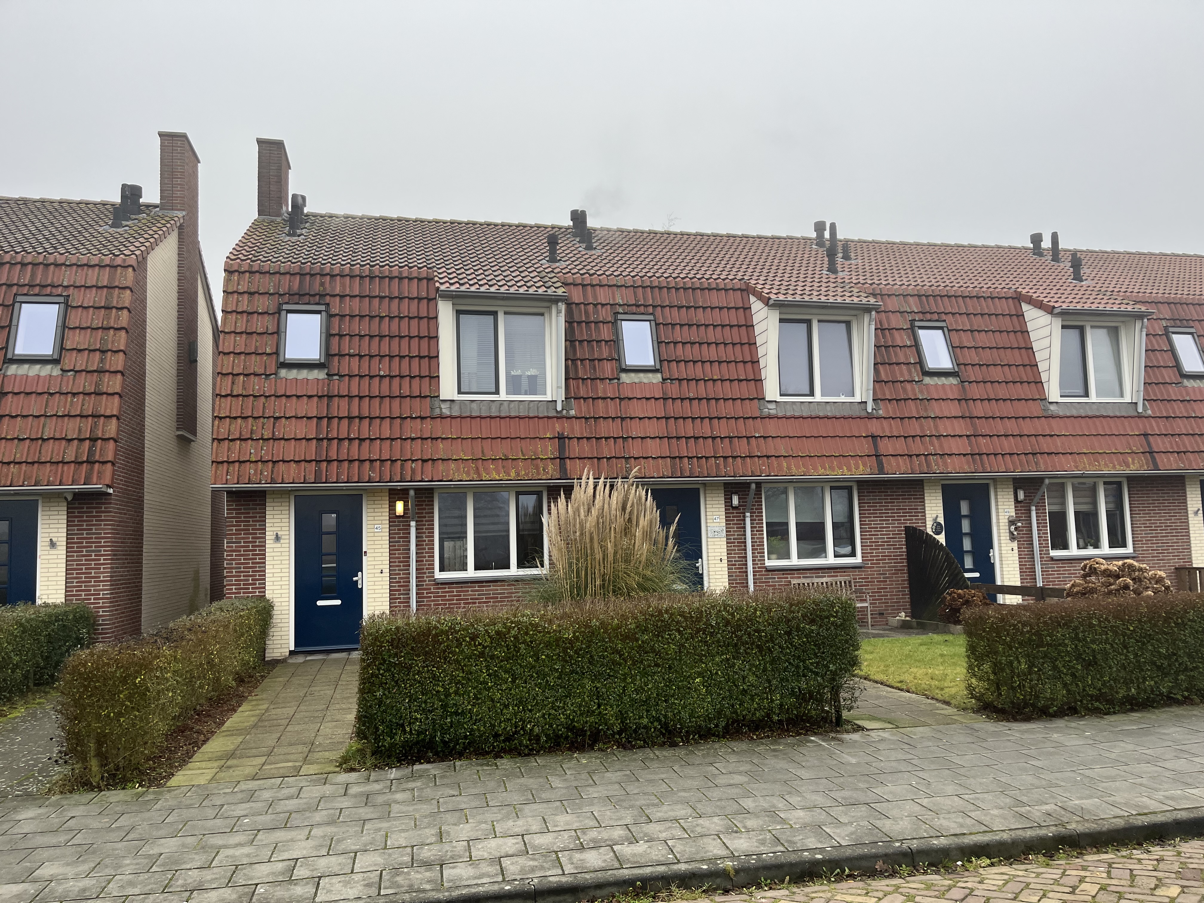Leliestraat 45