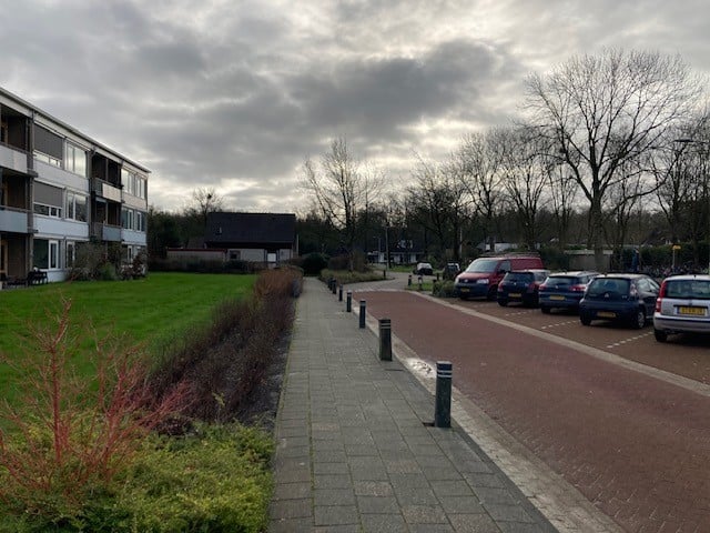 Jelle Meineszleane 2