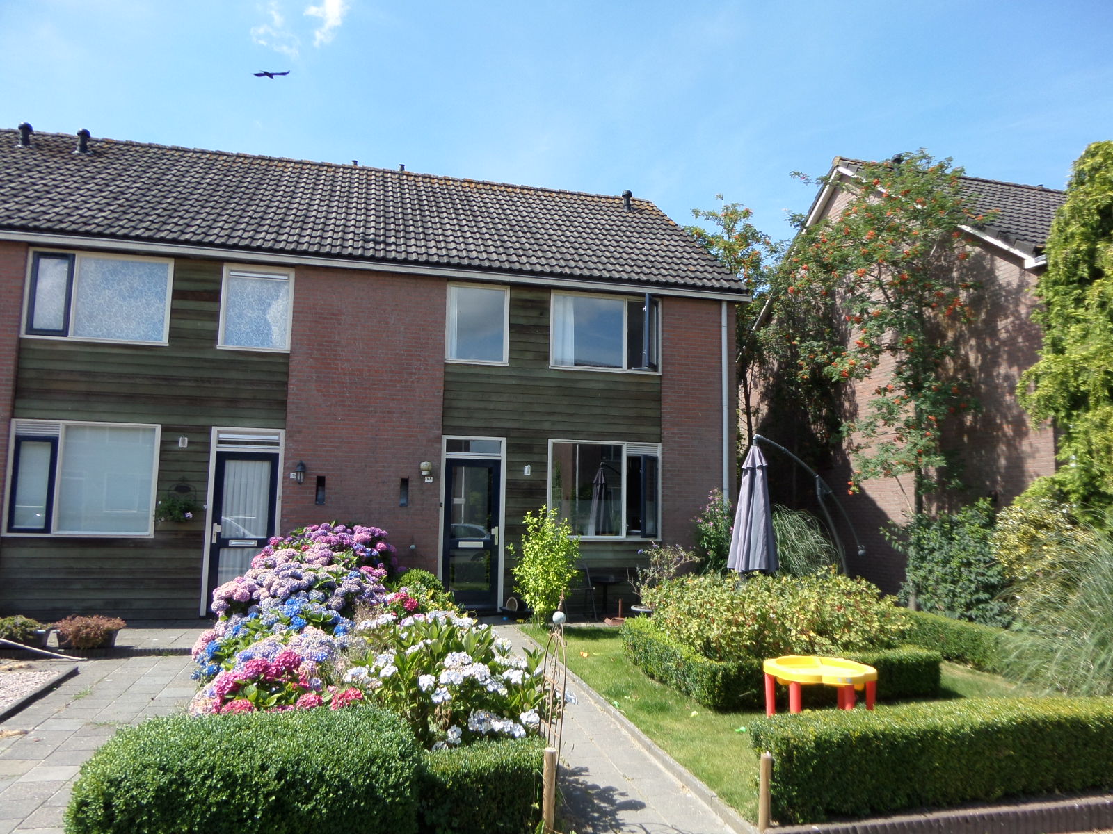 Waterranonkel 5A, 9103 RW Dokkum, Nederland