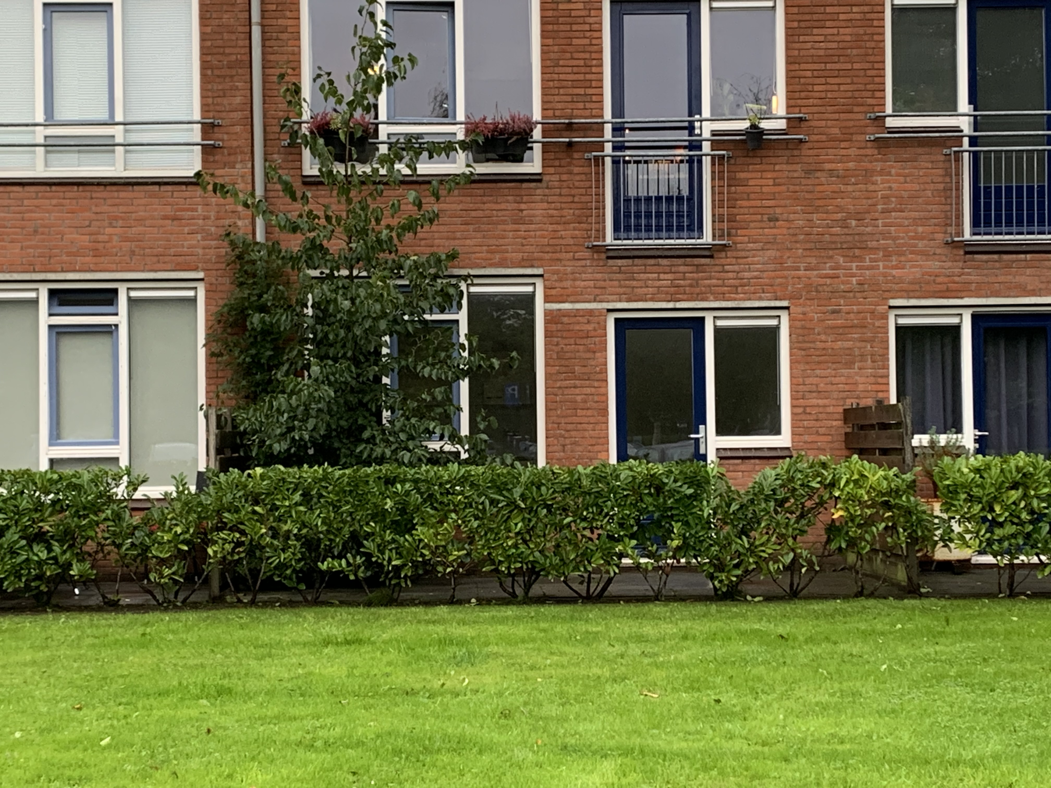 Thijs Feenstraweg 16