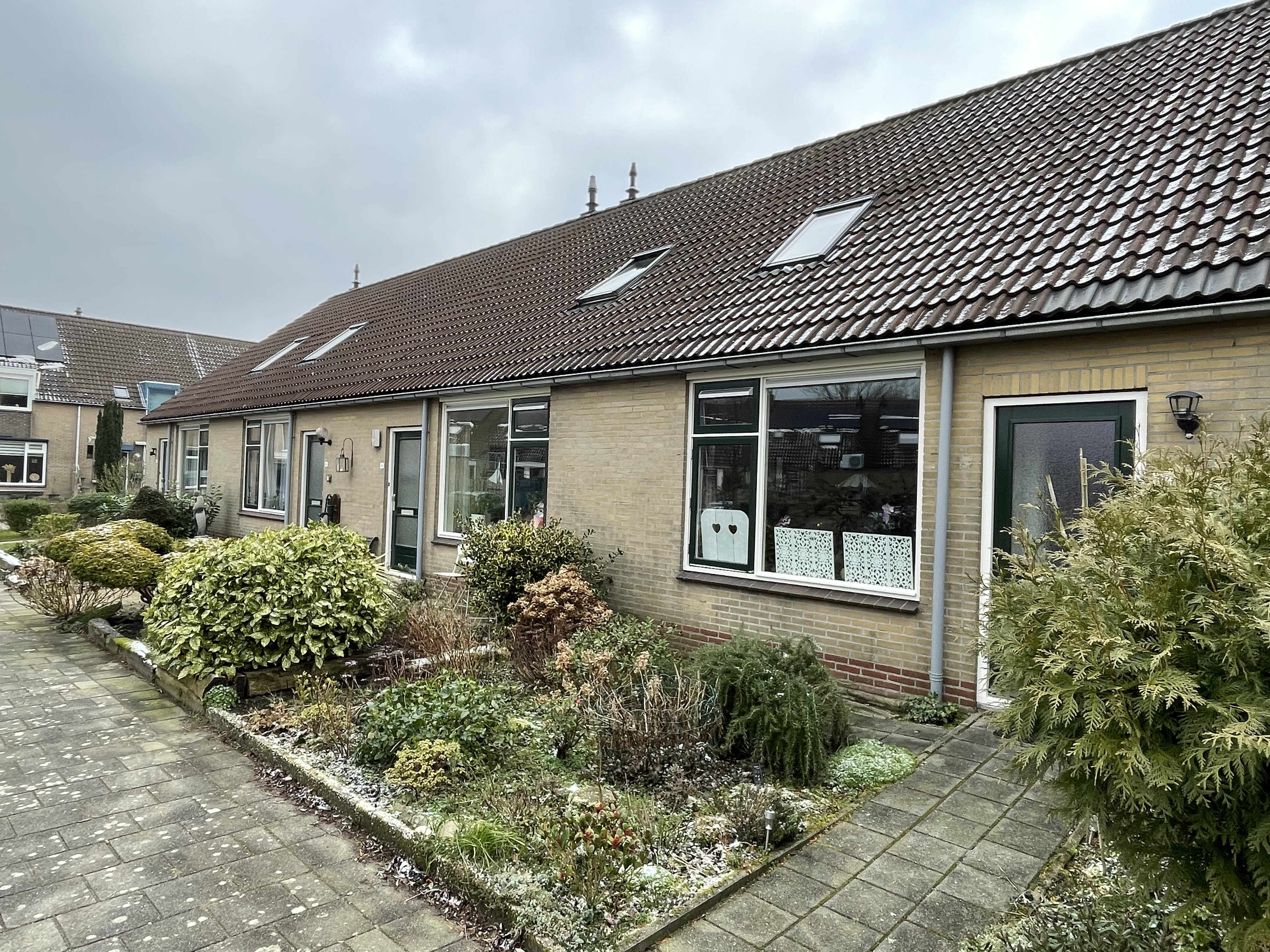 Boterbloem 22