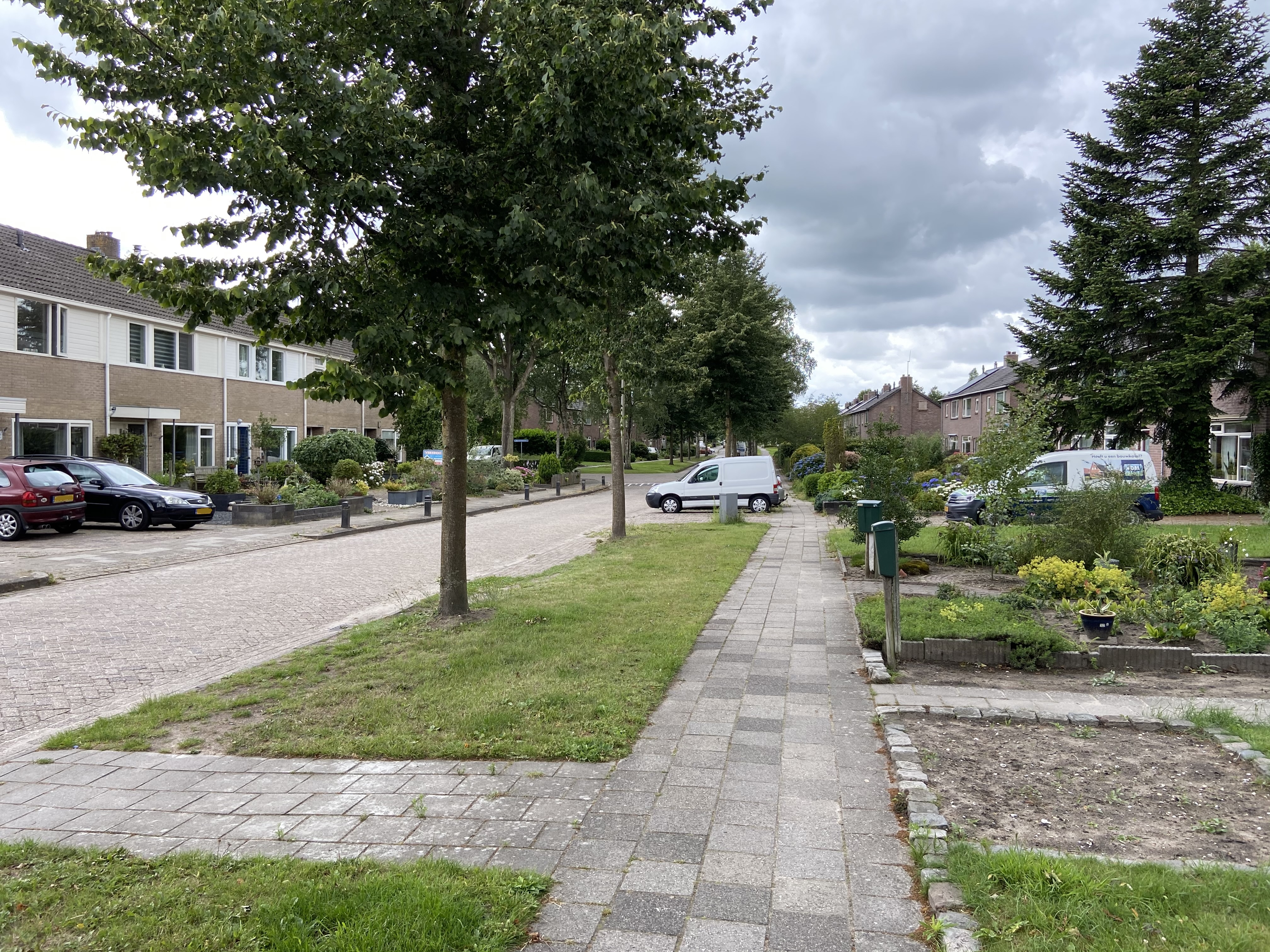 Burgemeester Bothenius Lohmanlaan 46