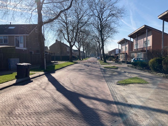 Jelle Meineszleane 63