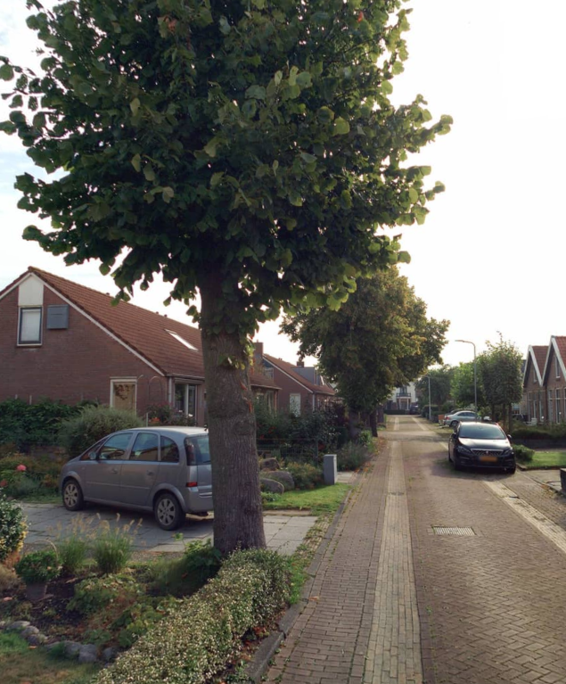 Verlengde Oostend 7