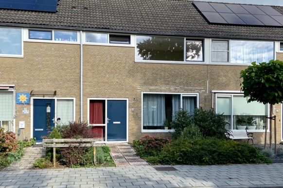 Blauwgras 19