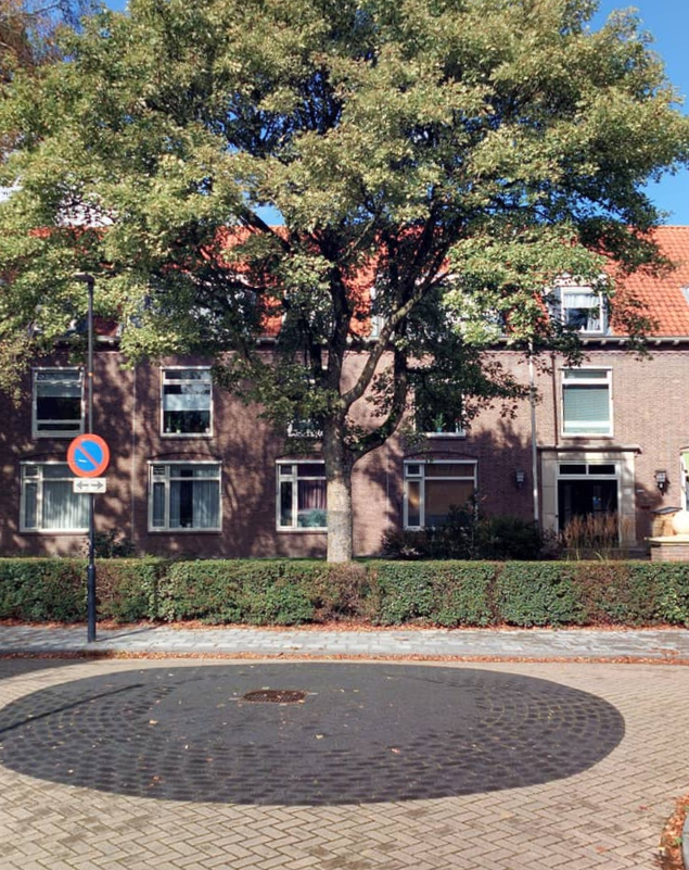 Nanne Reijnstraat 29, 8701 CG Bolsward, Nederland