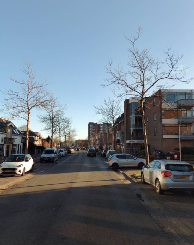 Zuidvliet 618
