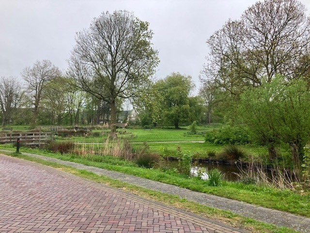 Mariënacker 24