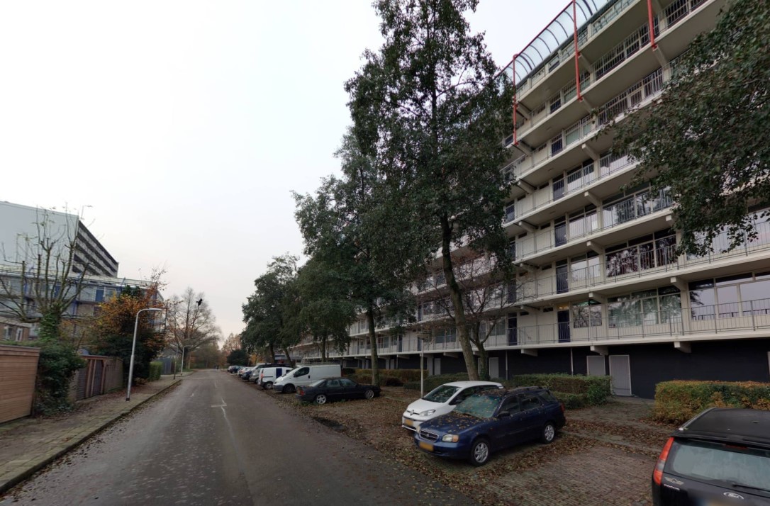 De Anjen 21