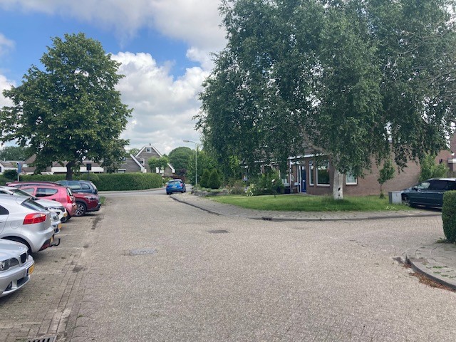 Fûgelikkers 12