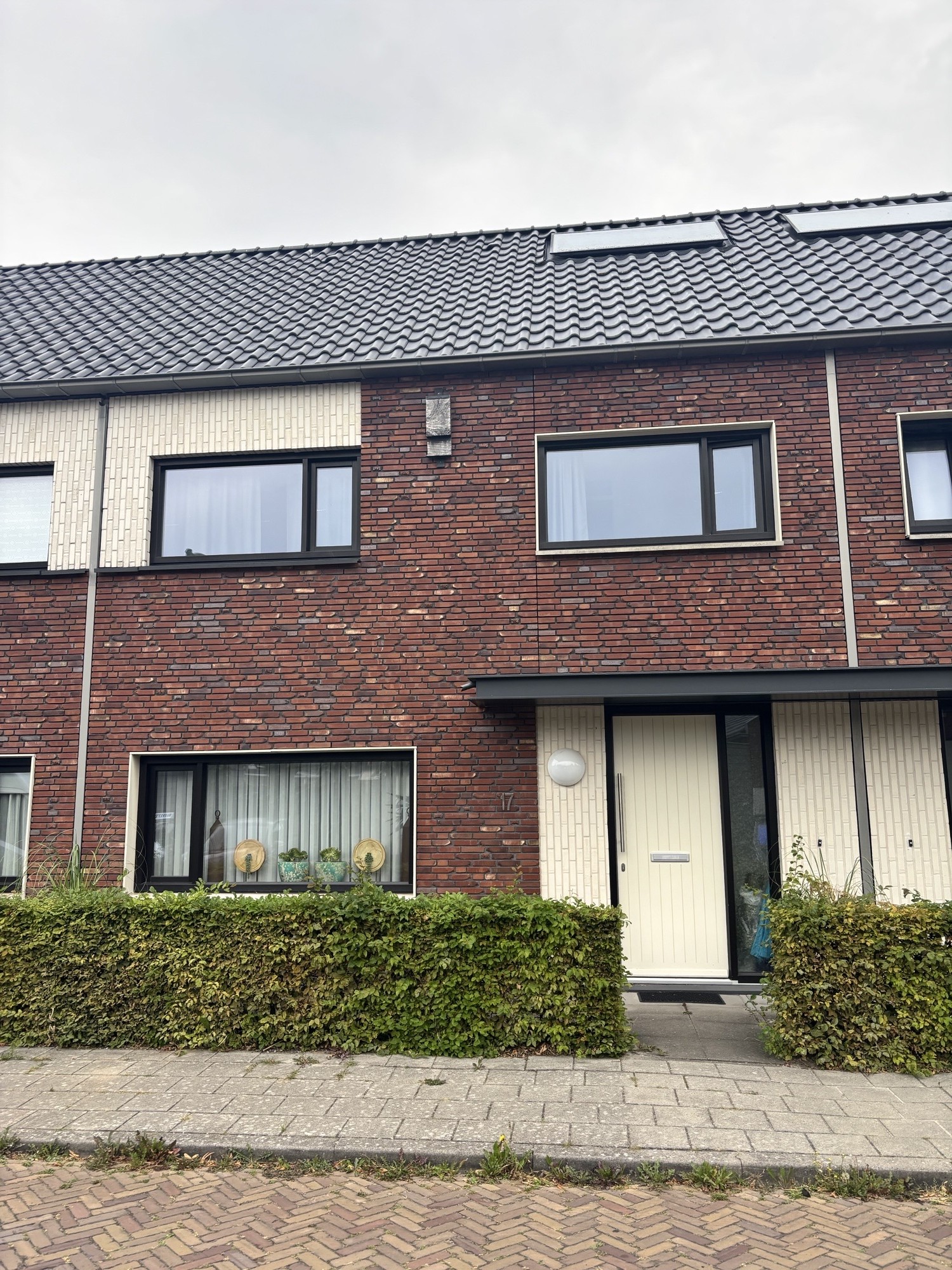 Taconishof 17, 8442 DR Heerenveen, Nederland