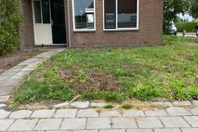 De Bjirken 38