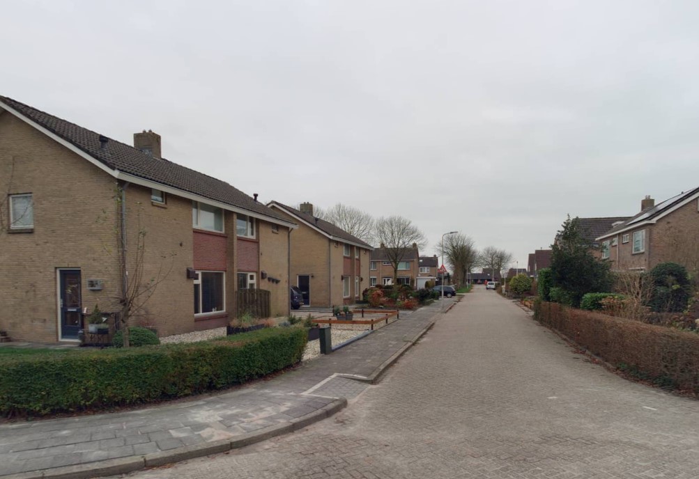 David van Goirlestrjitte 5