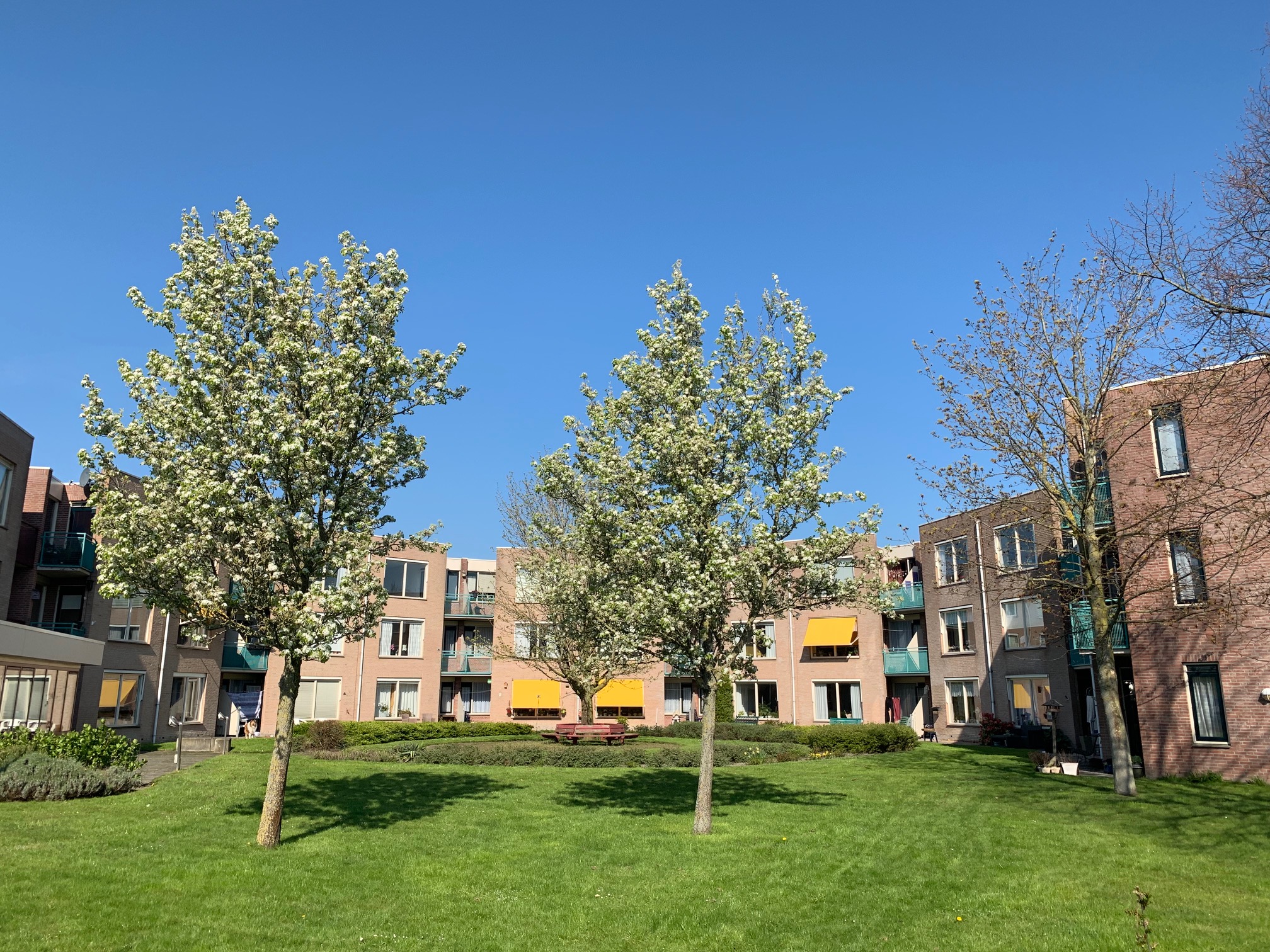 Troelstrakade 22, 8603 AP Sneek, Nederland