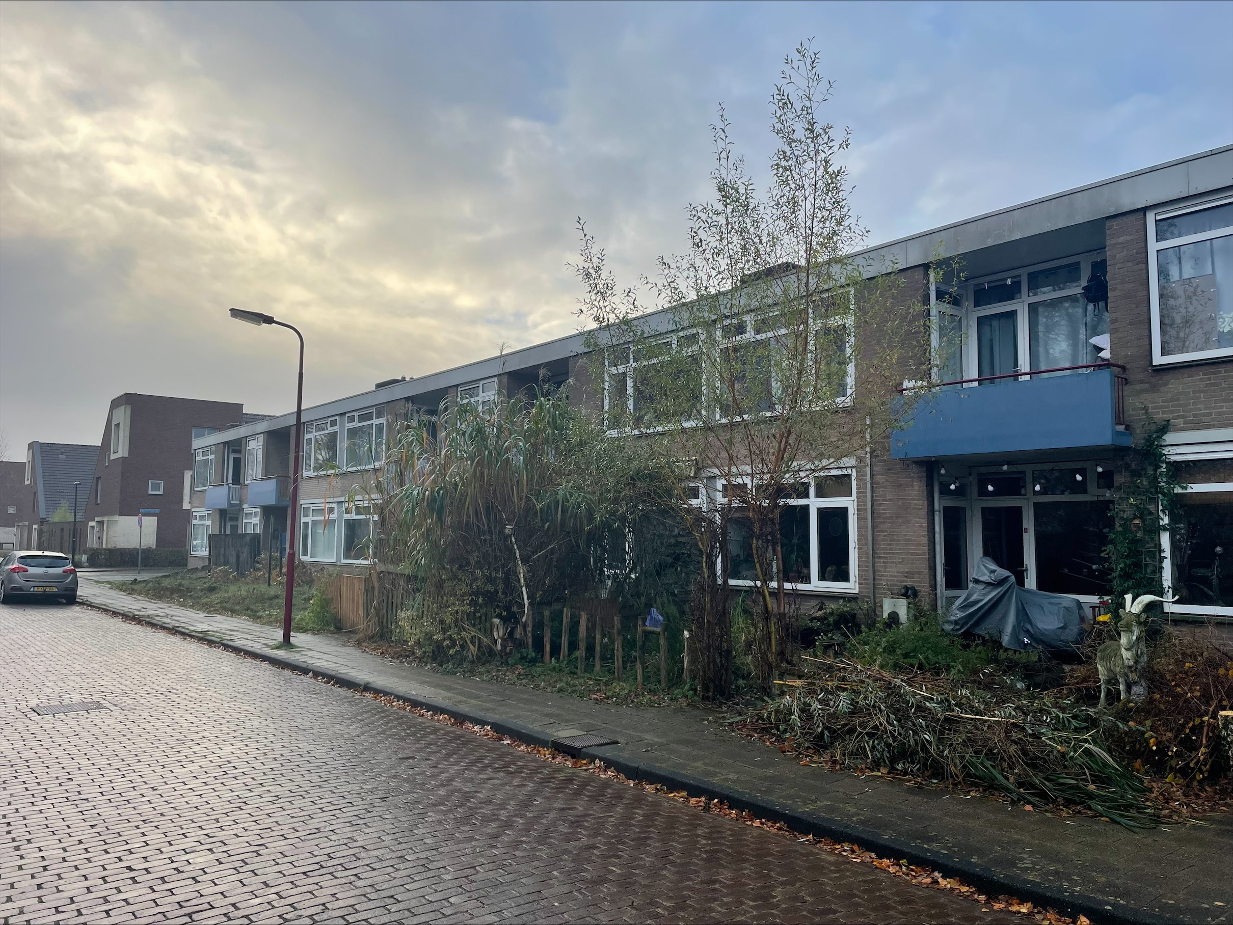 Baronesse de Vos van Steenwijksingel 24, 8442 KL Heerenveen, Nederland