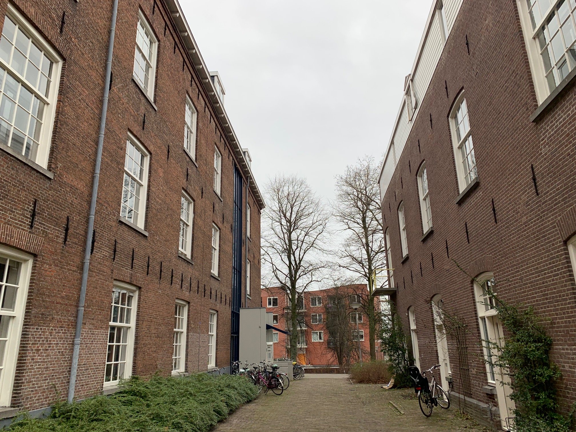 Amelandsdwinger 559, 8911 LW Leeuwarden, Nederland