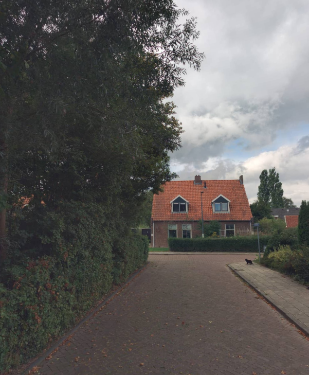 Dominee H.W.C.A. Visserleane 8, 8633 KH Ysbrechtum, Nederland