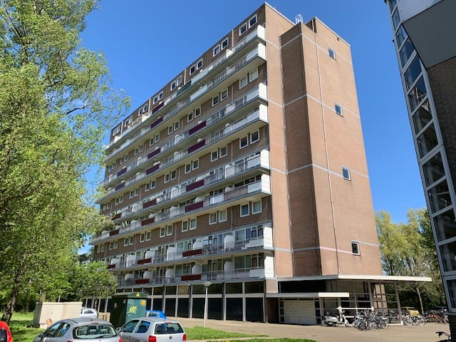 Mondriaanstraat 113, 8918 DK Leeuwarden, Nederland