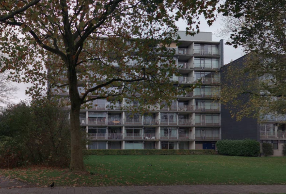 Weideflora 181, 8935 GM Leeuwarden, Nederland