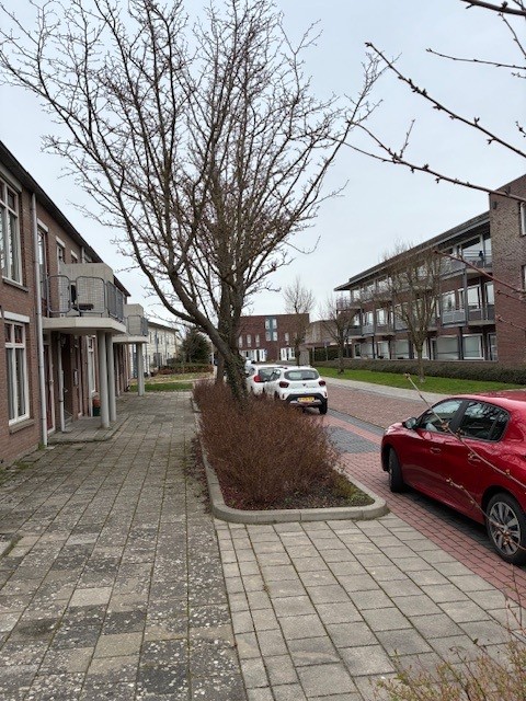 Schoklandstraat 15