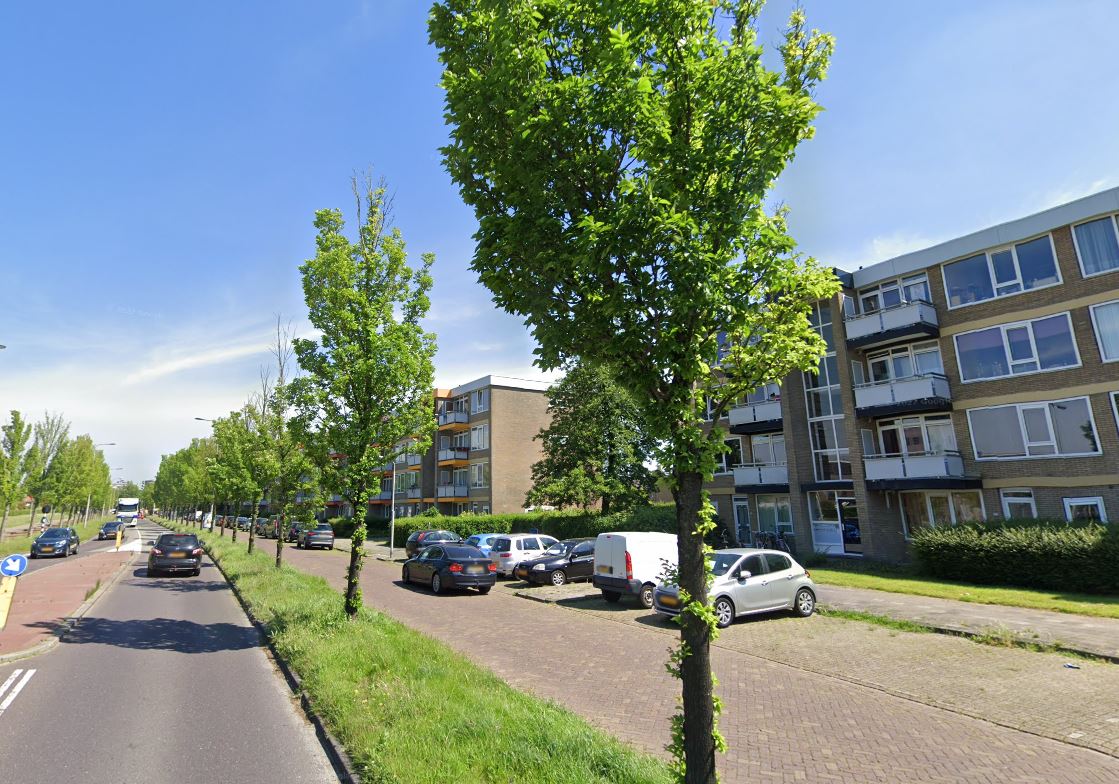 Professor Meester P.S. Gerbrandyweg 119