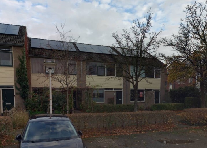 Maagdepalm 116