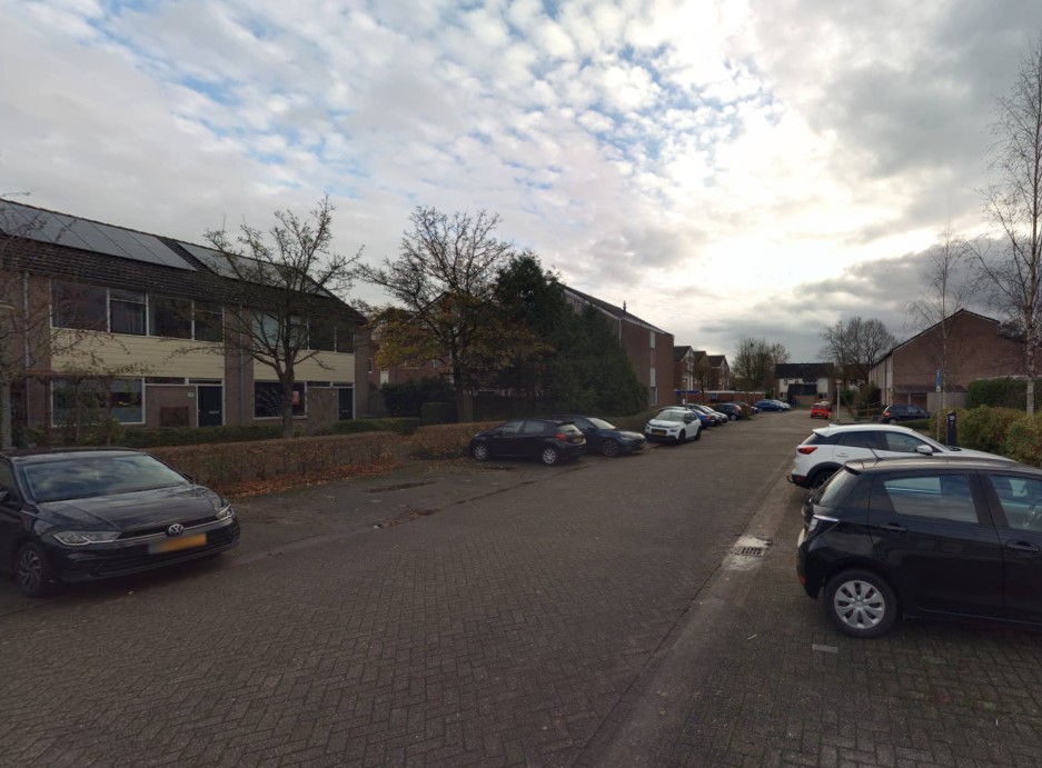 Maagdepalm 116