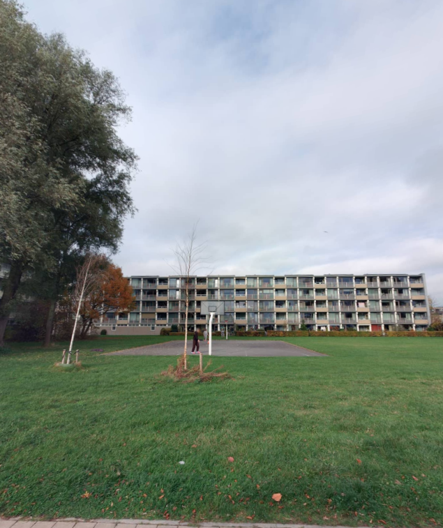 De Dulf 232, 8918 EK Leeuwarden, Nederland