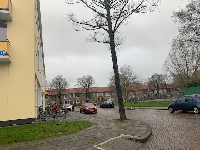 Larixstraat 6