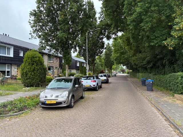 Bakwei 29