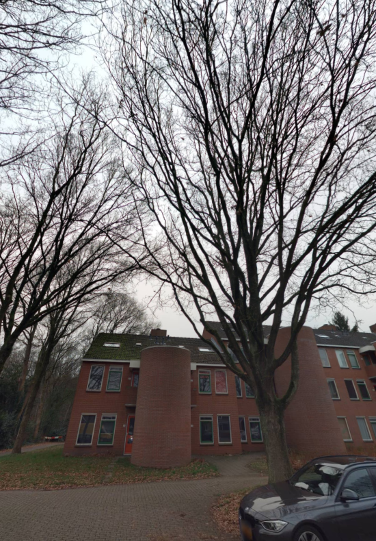 Utein 31, 9244 AA Beetsterzwaag, Nederland