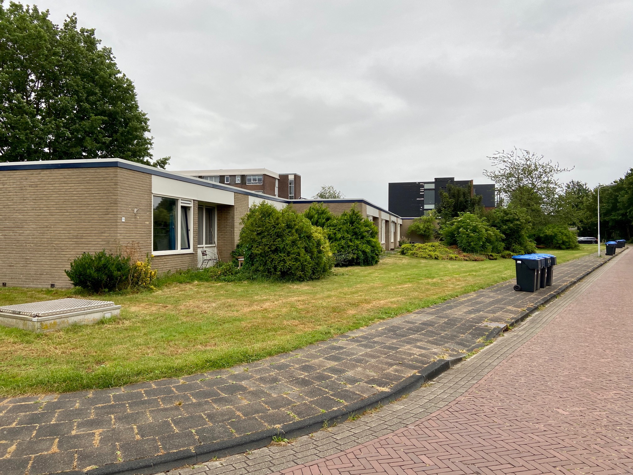 Boekweitpaed 39