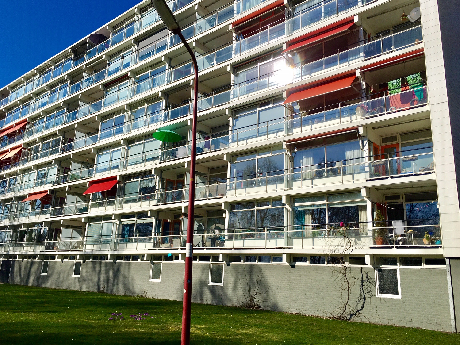 Sperwer 56