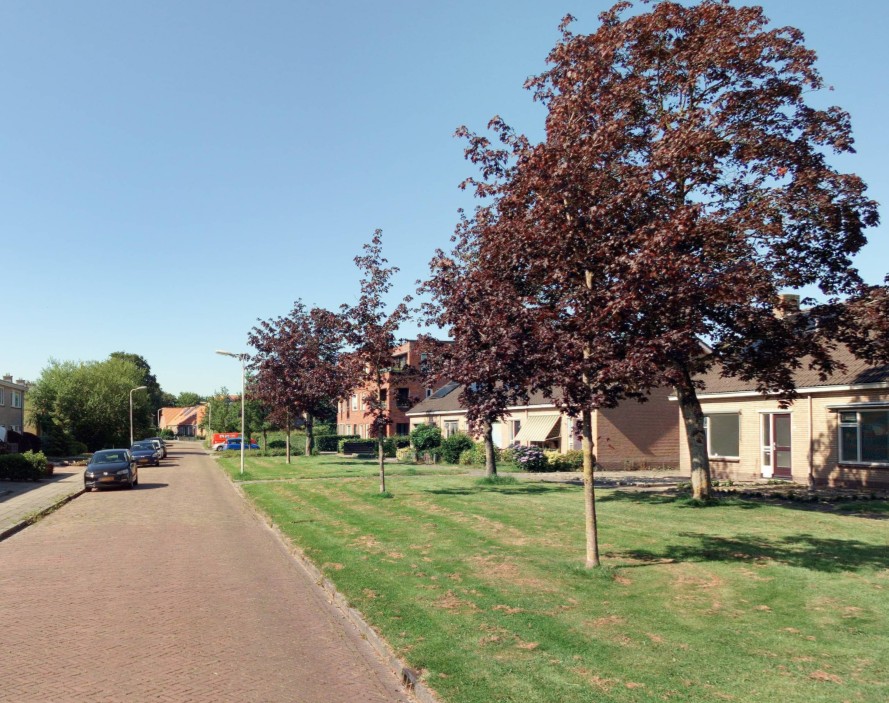 Ds. Boekholtstraat 11