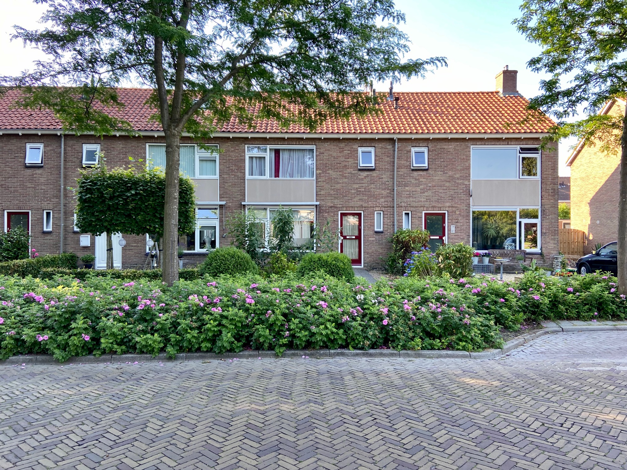 Oranje Nassaulaan 91, 8471 PX Wolvega, Nederland