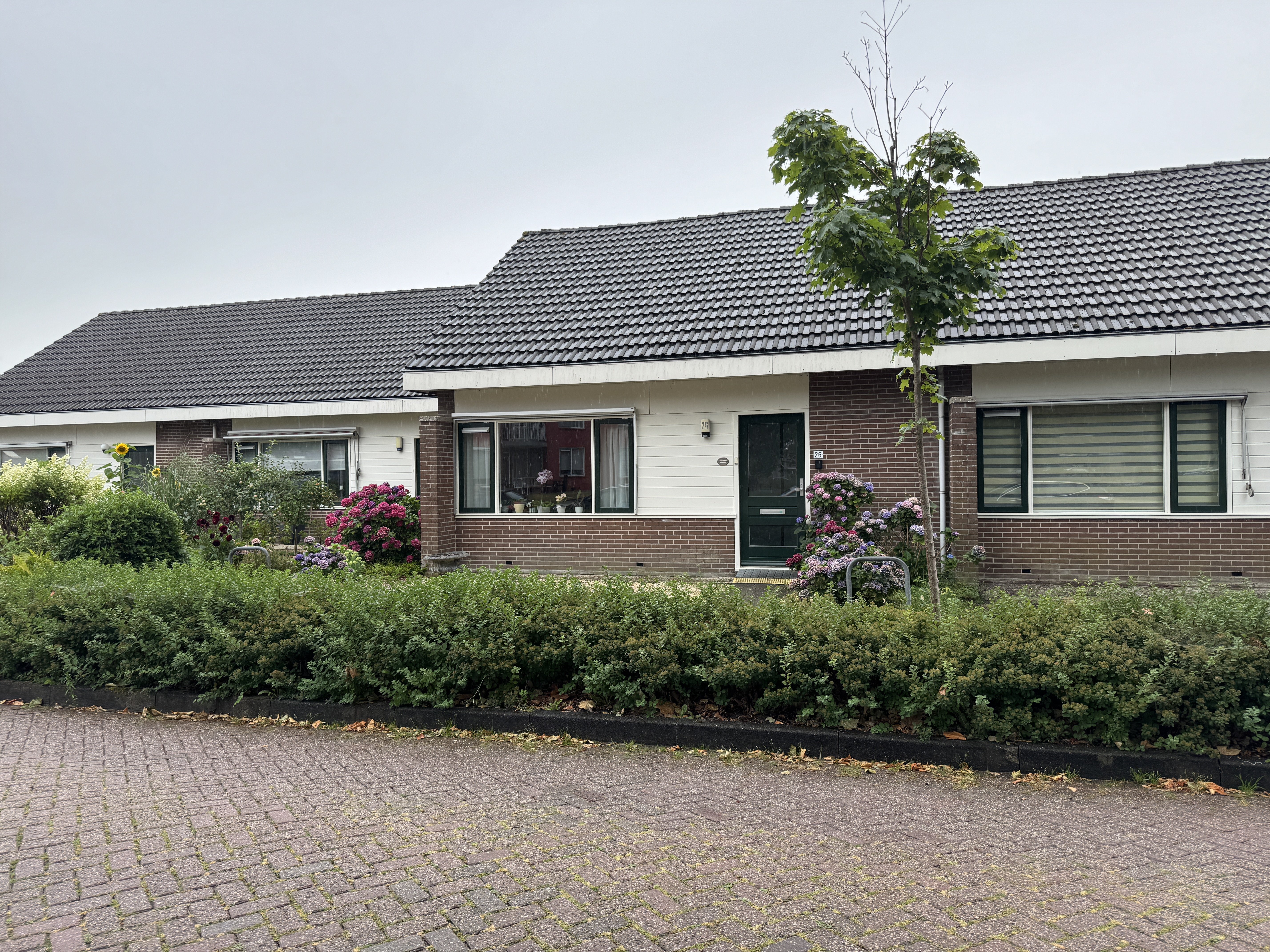 Aukebaes 26, 8501 RR Joure, Nederland